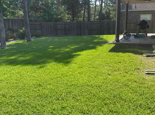 Lavinia W.'s landscaping service result