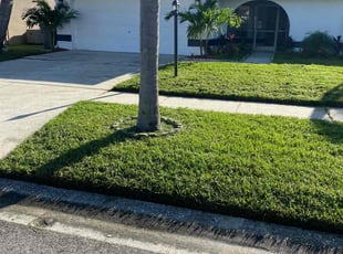 Shannon W.'s turf maintenance service result