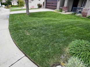 Jane S.'s lawn care service result