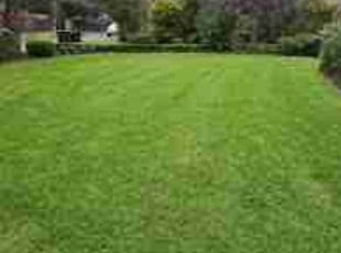 Julie H.'s lawn service service result