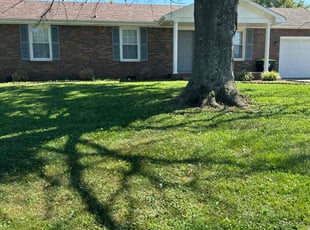 Milan P.'s grass cutting service result