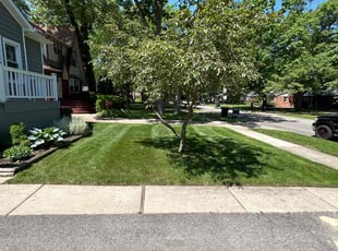 Donna H.'s grass cutting service result