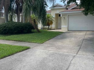 Sophia P.'s lawn care service result