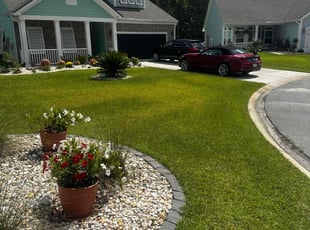 Liz M.'s lawn care service result