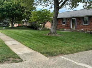 Naara T.'s lawn service service result