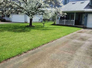 Larry F.'s grass cutting service result