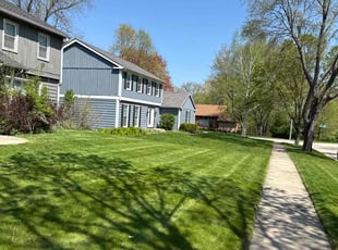 Ramsey C.'s lawn service service result