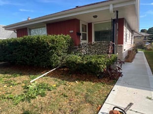 Dan T.'s grass maintenance service result