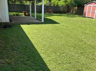 Miguel M.'s lawn maintenance service result