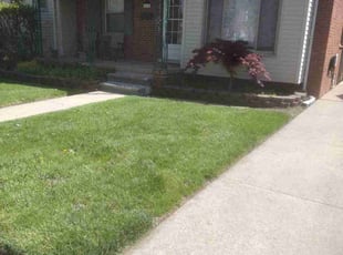 Sacillia D.'s grass cutting service result
