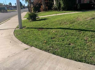 Carl B.'s lawn service service result