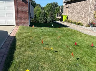 Phillip S.'s lawn service service result