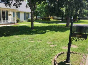 Dennis M.'s lawn care service result
