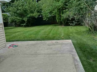 Jiahui J.'s lawn care services service result