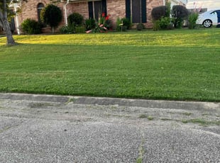 Reginald J.'s Flower Bed Weeding service result