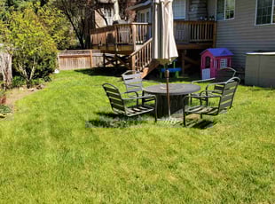 Sibo-Mana A.'s lawn service service result