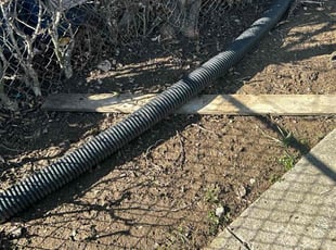 Patricia C.'s Leaf Removal service result