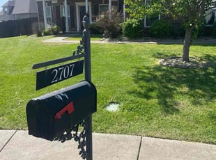 Cj K.'s turf maintenance service result