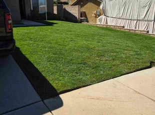 Regina P.'s yard work service result