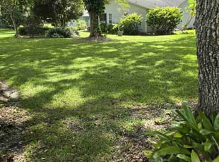 Devin B.'s lawn service service result