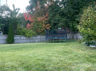 Thomas B.'s grass cutting service result