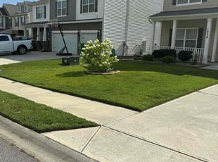 Nicholas L.'s lawn care service result