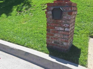 Brooke S.'s Long Grass Cleanup service result