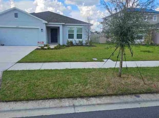 Jeanette E.'s turf maintenance service result