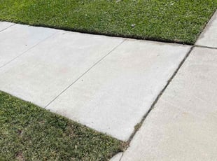 Robert M.'s turf maintenance service result