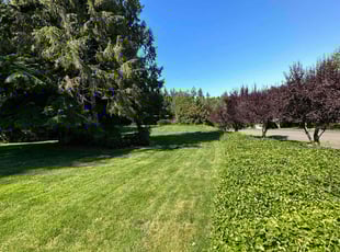 Joe M.'s lawn care services service result