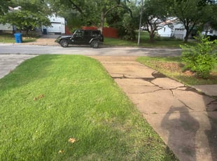 Susan B.'s turf care service result