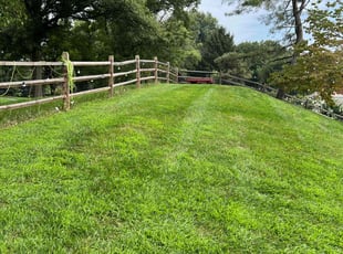 Katherine M.'s lawn care services service result