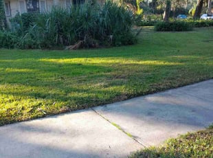 Rob S.'s grass cutting service result