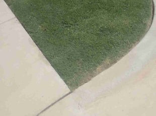 Eric L.'s lawn care service result