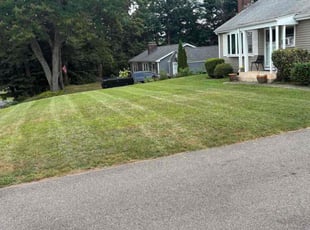 Yvonne S.'s grass maintenance service result