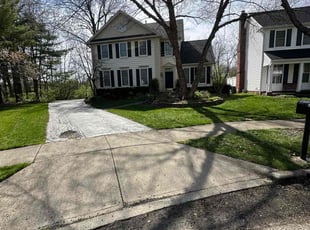 Felipe P.'s Leaf Removal service result