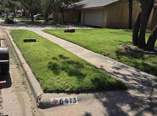 Crystal A.'s lawn care service result