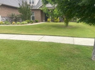 Morreece E.'s turf care service result