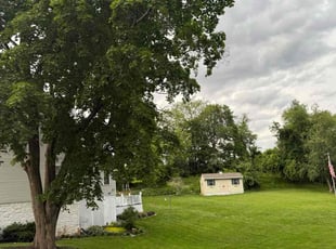 Amanda W.'s lawn service service result