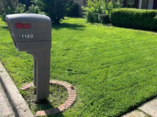 Audrey F.'s yard care service result