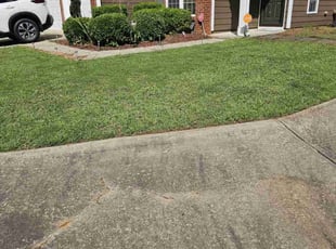 Valerie T.'s turf maintenance service result