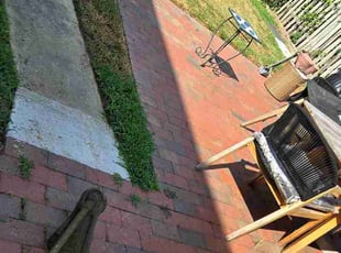 Deb S.'s turf maintenance service result