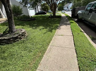 Judy C.'s lawn maintenance service result