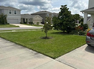 Erin R.'s grass cutting service result