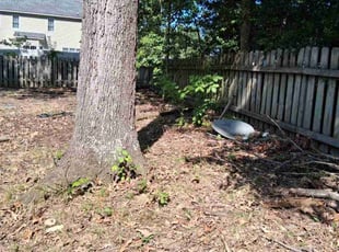 William F.'s grass cutting service result