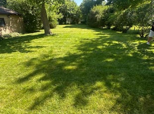Ronald L.'s grass maintenance service result