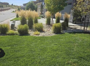 Ellen S.'s Bush Trimming service result