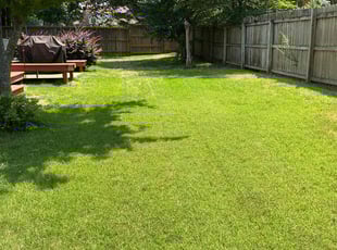 Angelique T.'s grass cutting service result