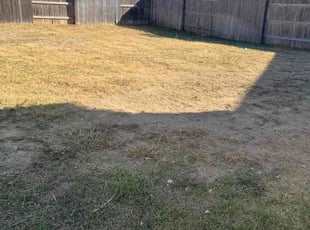 Rolan A.'s turf maintenance service result