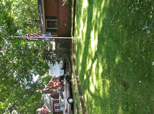 Louis V.'s Bush Trimming service result